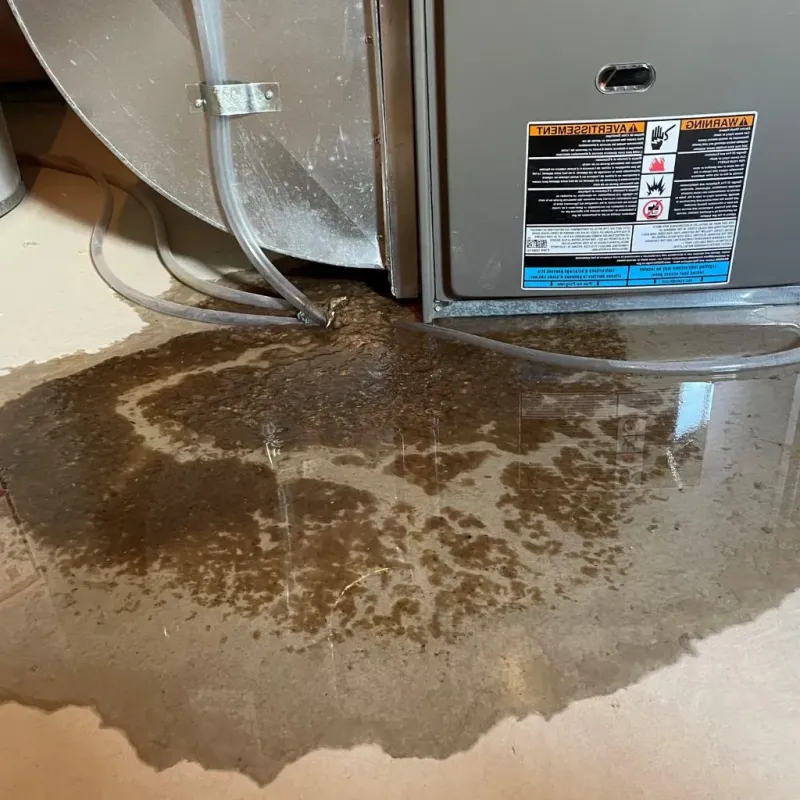 Pipe Burst and Leak Restoration in Bennington, VT